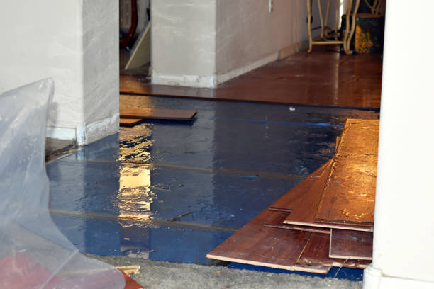 Professional Water Damage Restoration technician working in Mount Calvary, WI